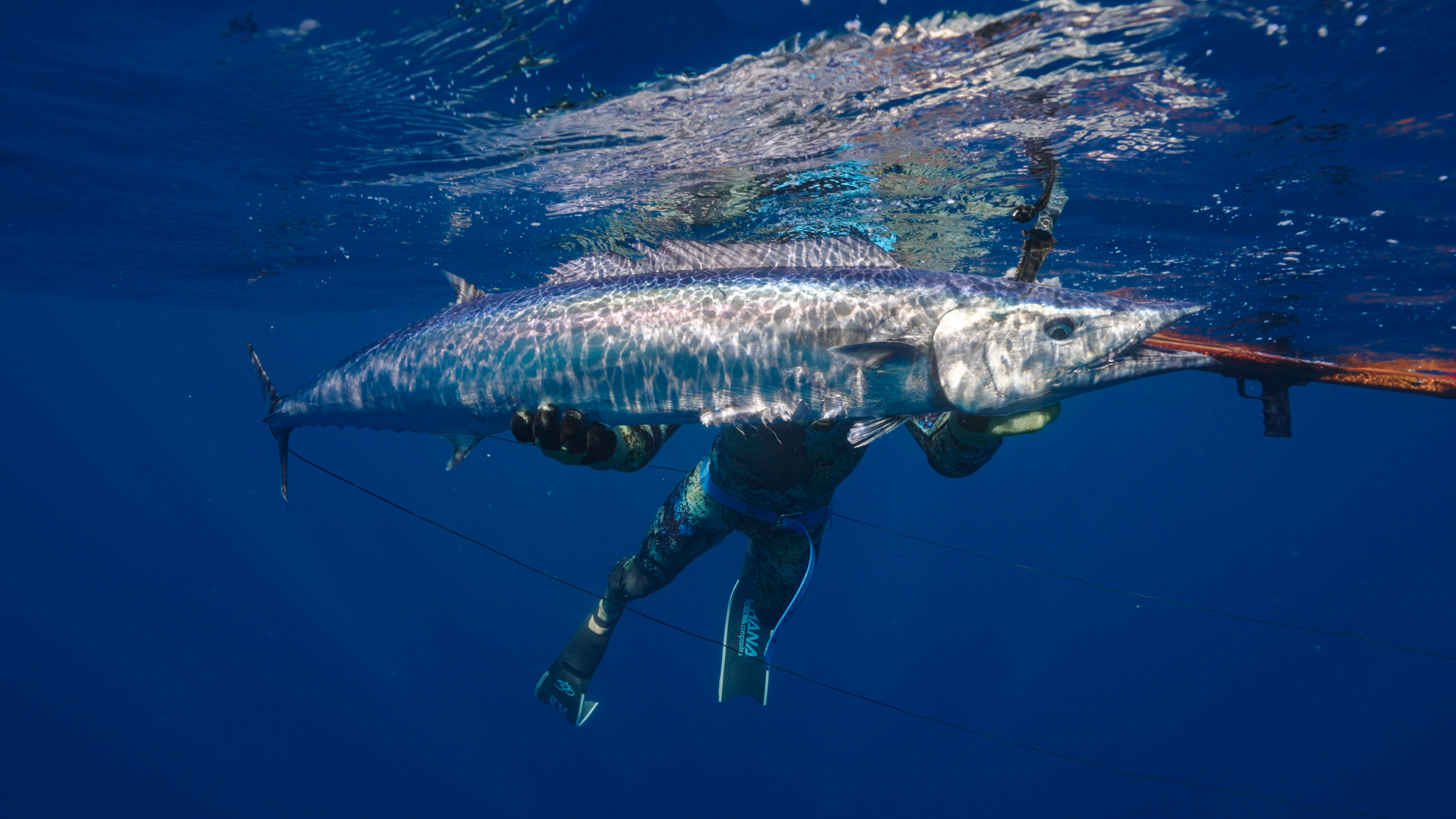 Kyle underwater with his spearfishing catch